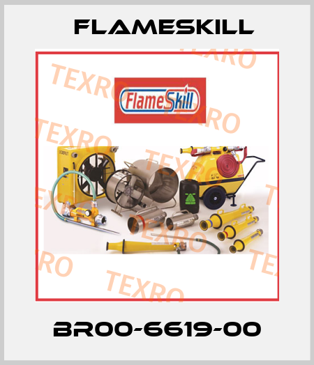 BR00-6619-00 FlameSkill