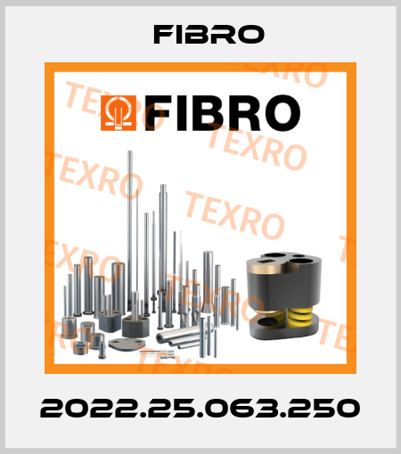 2022.25.063.250 Fibro