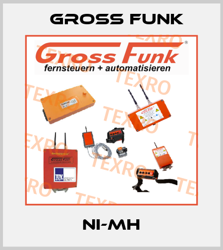 Ni-MH Gross Funk