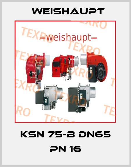 KSN 75-B DN65 PN 16 Weishaupt