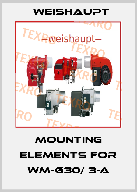 Mounting elements for WM-G30/ 3-A Weishaupt