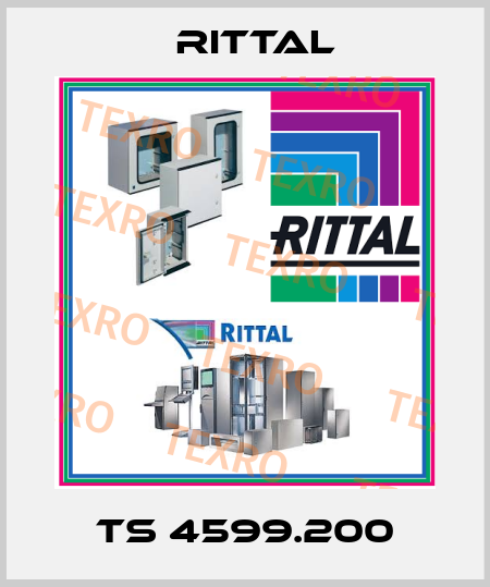 TS 4599.200 Rittal