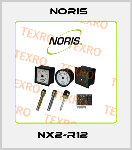 NX2-R12　 Noris