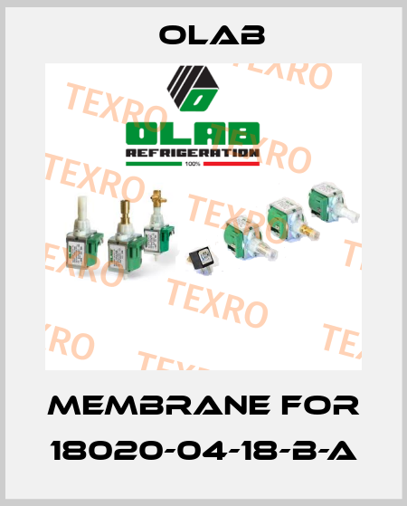 Membrane for 18020-04-18-B-A Olab