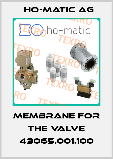 Membrane for the valve 43065.001.100 Ho-Matic AG