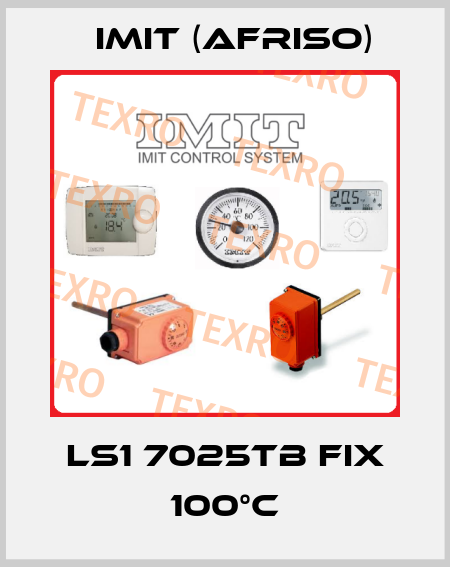 LS1 7025TB FIX 100°C IMIT (Afriso)