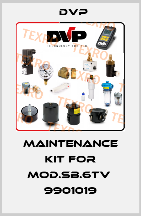 maintenance kit for Mod.SB.6TV  9901019 DVP