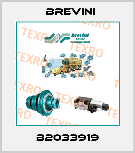 B2033919 Brevini