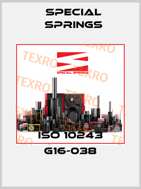 ISO 10243 G16-038 Special Springs