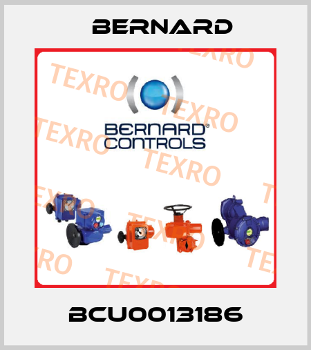 BCU0013186 Bernard