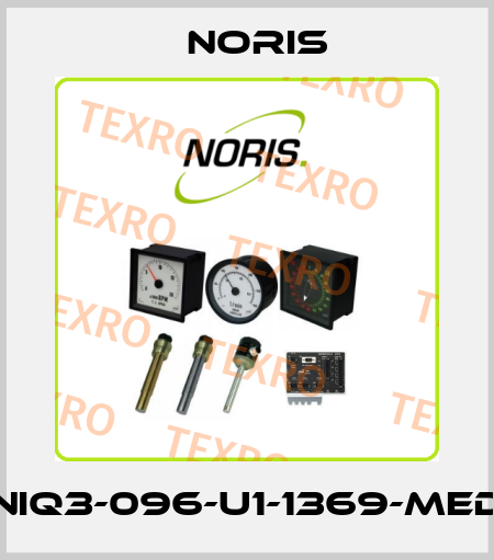 NIQ3-096-U1 Noris