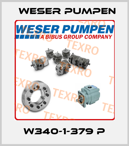 W340-1-379 P Weser Pumpen