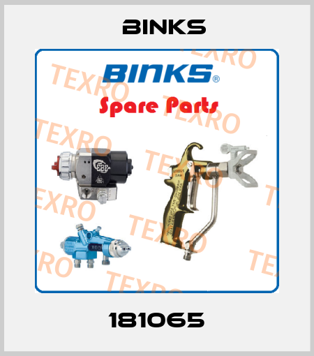 181065 Binks