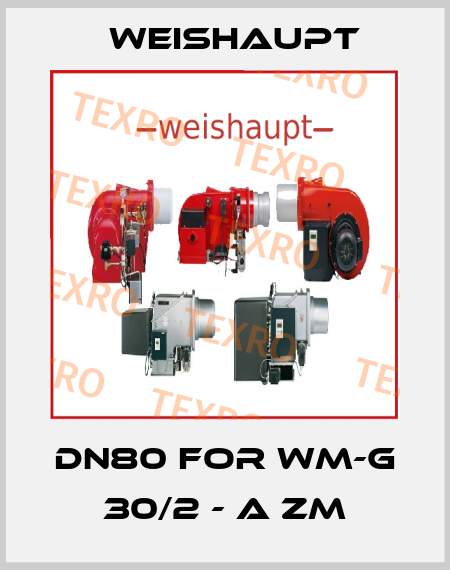 DN80 for WM-G 30/2 - A ZM Weishaupt