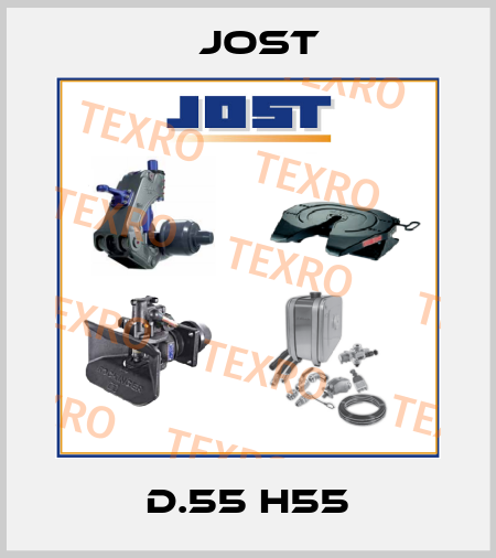 D.55 H55 Jost