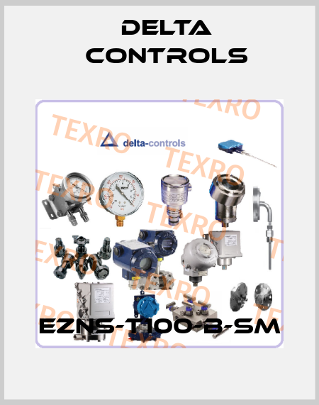 EZNS-T100-B-SM Delta Controls