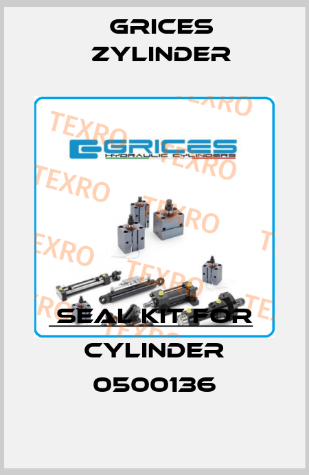 seal kit for cylinder 0500136 Grices Zylinder
