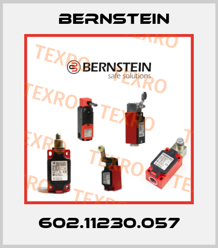 602.11230.057 Bernstein
