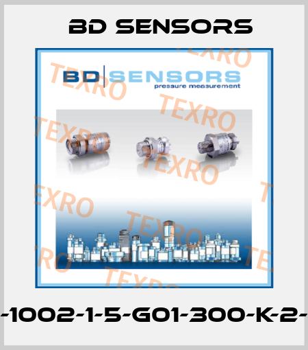 590-1002-1-5-G01-300-K-2-000 Bd Sensors