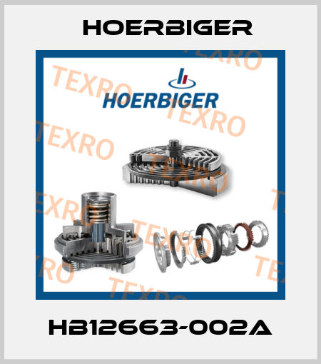 HB12663-002A Hoerbiger
