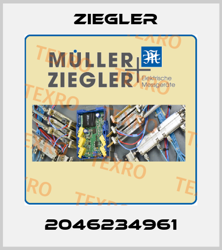 2046234961 Ziegler