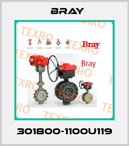 301800-1100U119 Bray