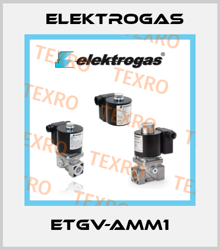 ETGV-AMM1 Elektrogas