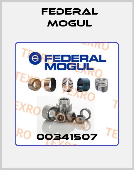00341507 Federal Mogul