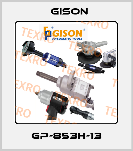 GP-853H-13 Gison