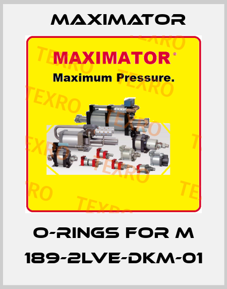 O-rings for M 189-2LVE-DKM-01 Maximator
