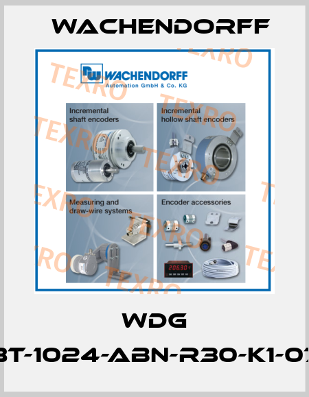 WDG 58T-1024-ABN-R30-K1-070 Wachendorff