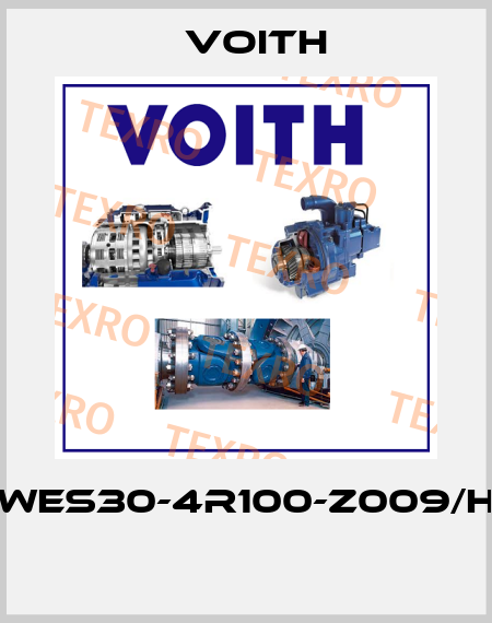 WES30-4R100-Z009/H  Voith
