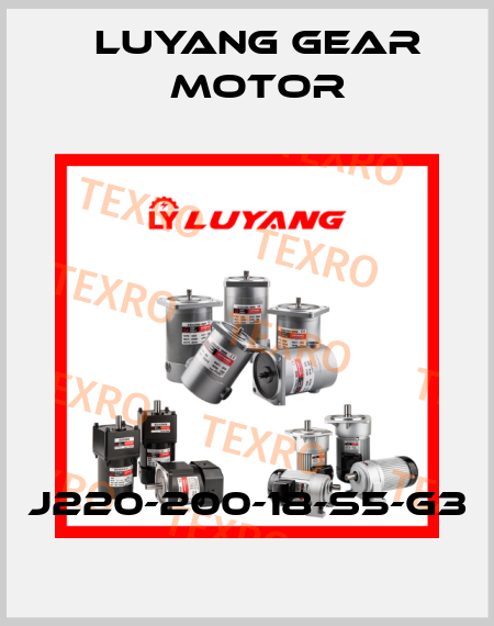 J220-200-18-S5-G3 Luyang Gear Motor