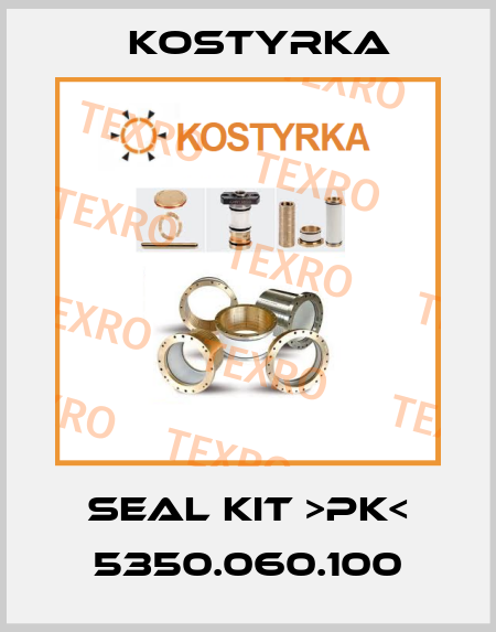 Seal kit >pk< 5350.060.100 Kostyrka