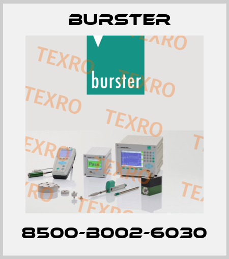 8500-B002-6030 Burster