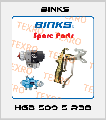 HGB-509-5-R38 Binks