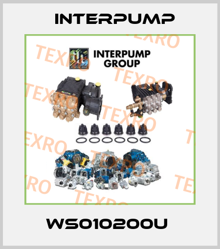 WS010200U  Interpump