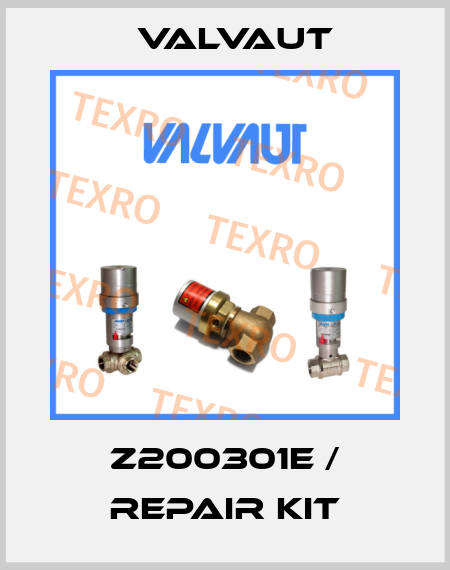 Z200301E / Repair kit Valvaut