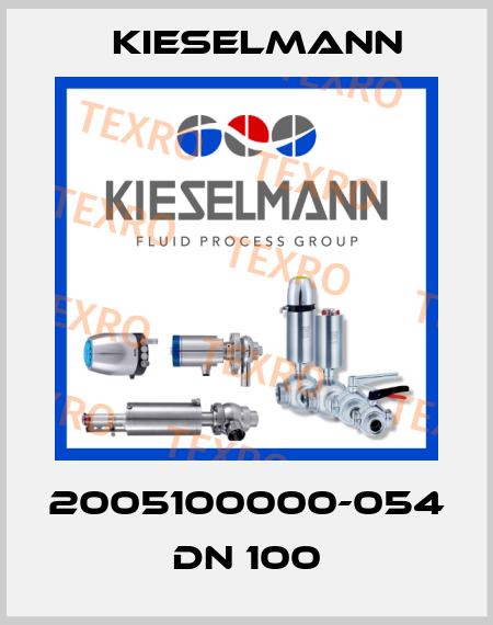 2005100000-054 DN 100 Kieselmann