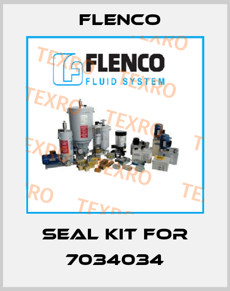 seal kit for 7034034 Flenco