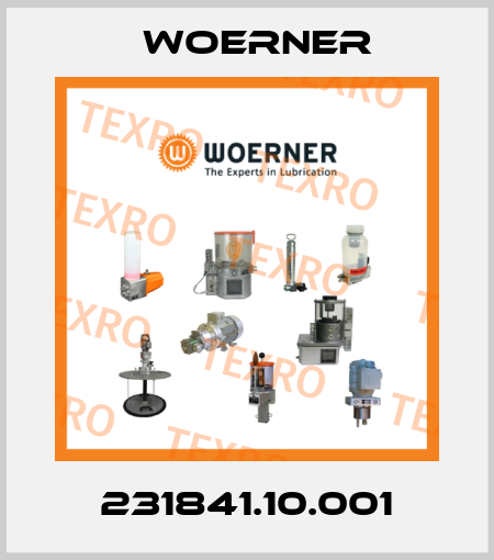 231841.10.001 Woerner