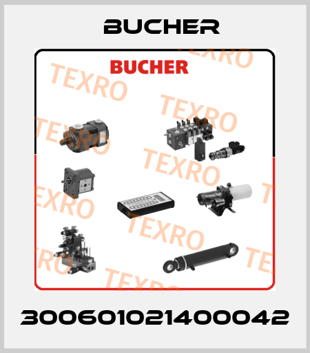 300601021400042 Bucher