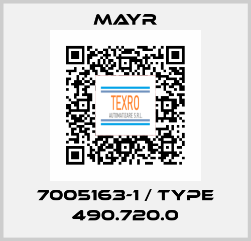 7005163-1 / Type 490.720.0 Mayr