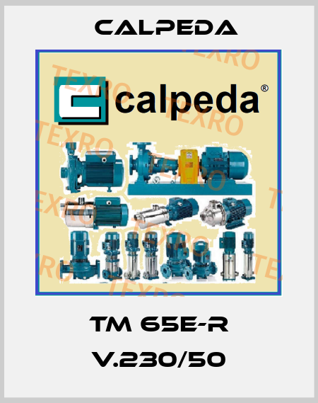 TM 65E-R V.230/50 Calpeda