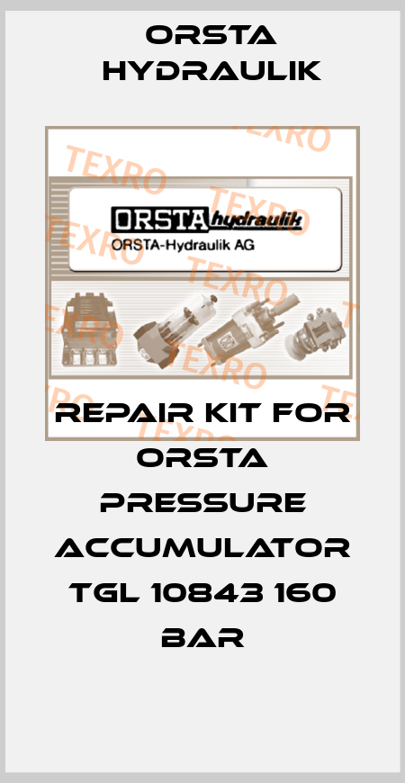 Repair kit for ORSTA pressure accumulator TGL 10843 160 bar Orsta Hydraulik