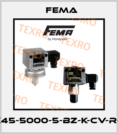 I/X45-5000-5-BZ-K-CV-R-01 FEMA