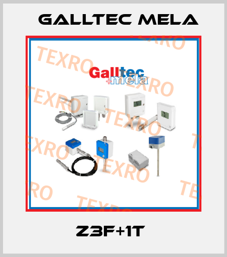 Z3F+1T  Galltec Mela