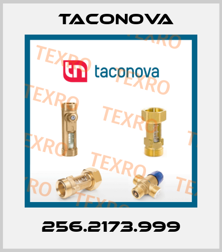 256.2173.999 Taconova