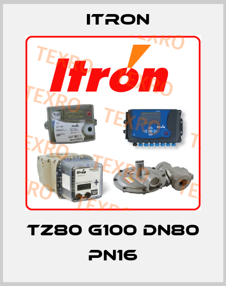 TZ80 G100 DN80 PN16 Itron