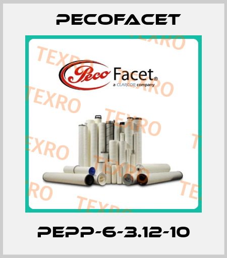 PEPP-6-3.12-10 PECOFacet
